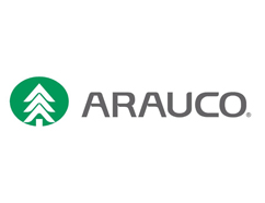 arauco